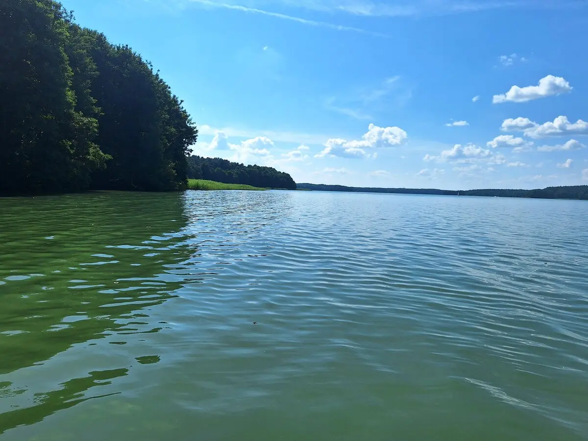 Jezioro otoczone lasem pod błękitnym niebem